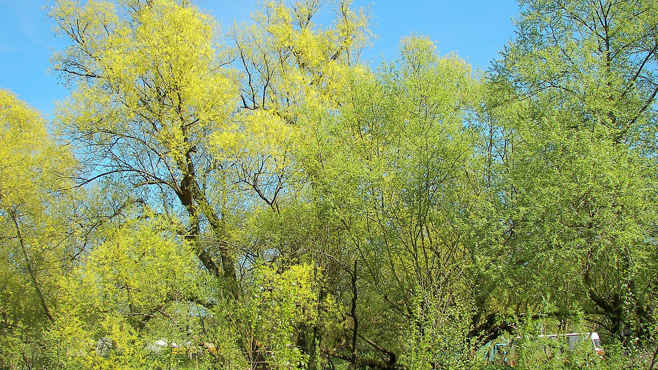 Ismerje meg a Szigetközt